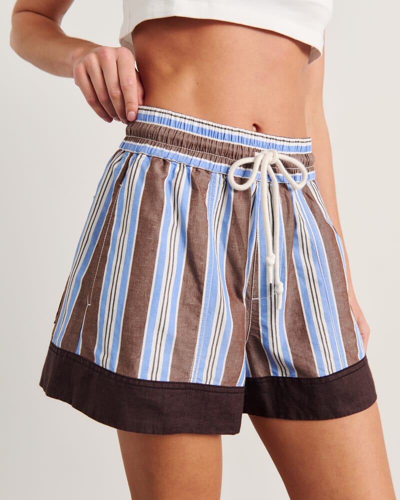 Gigi Stripe Short in BLUE/BROWN