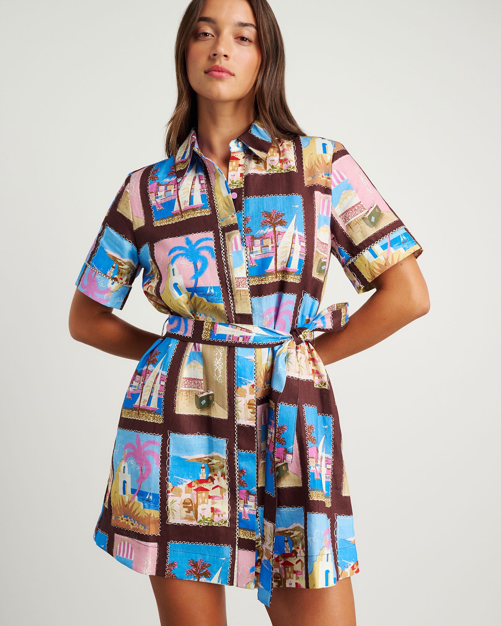 Panorama Shirt Dress