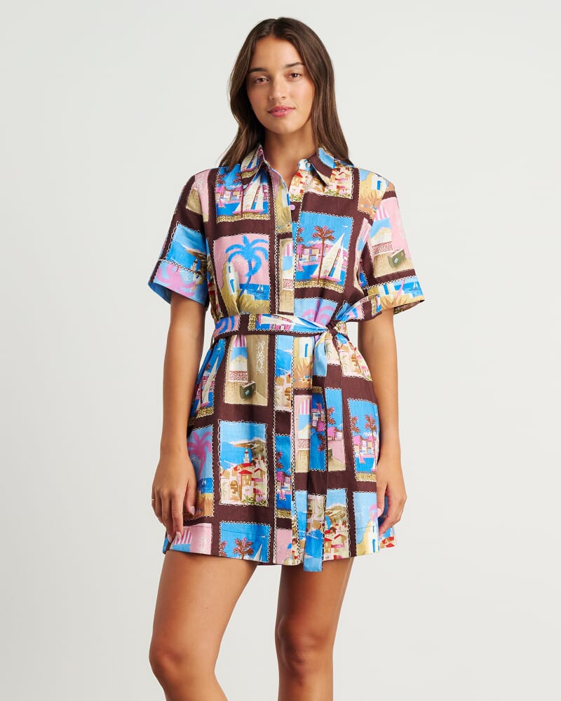 Panorama Shirt Dress in BROWN MULTI