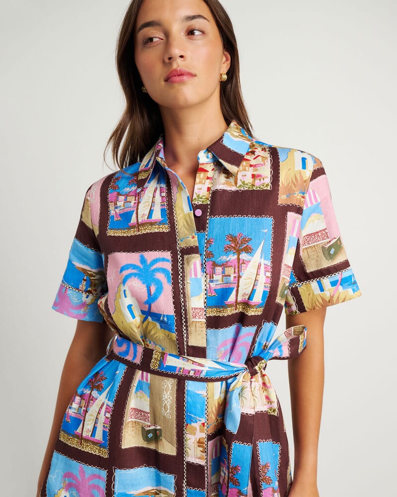 Panorama Shirt Dress in BROWN MULTI